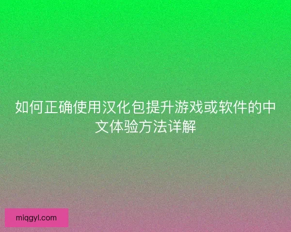 如何正确使用汉化包提升游戏或软件的中文体验方法详解
